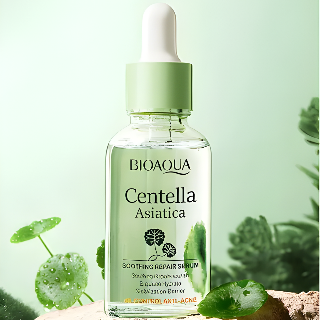 CAJA DE LUJO CENTELLA ASIÁTICA